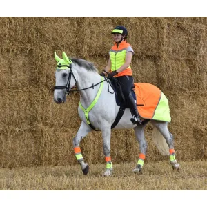 Equisafety Multi Coloured Waterproof Hi Viz Horse Sheet - Yellow / Orange