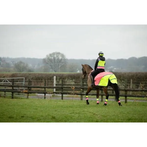 Equisafety Multi Coloured Waterproof Hi Viz Horse Sheet - Yellow / Orange