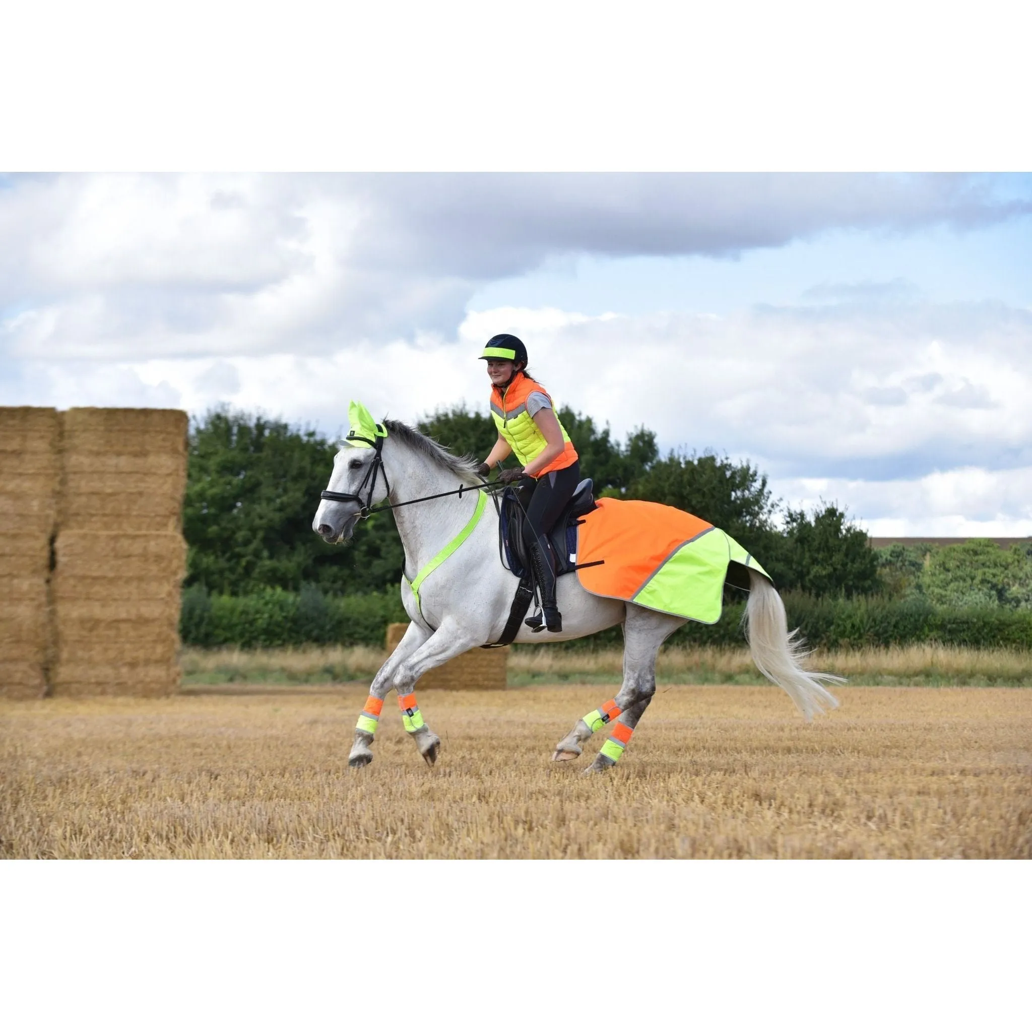 Equisafety Multi Coloured Waterproof Hi Viz Horse Sheet - Yellow / Orange