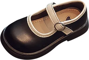 Toddler Girl Mary Jane Flower Girls Dress Shoes Little Girl School Uniform Shoes for Wedding Party Shoes Kid Shoes